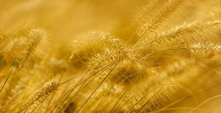 Yeni Bir Dil Öğrenmeye Başlamak İçin Kullanılabilecek En Kolay ve Etkili Yöntemler Yeni Bir Dil Öğrenmeye Başlamak İçin Kullanılabilecek En Kolay ve Etkili Yöntemler